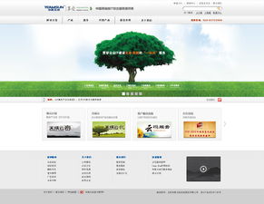 北京網(wǎng)站設(shè)計與網(wǎng)絡(luò)信息安全軟件開發(fā) 案例探析